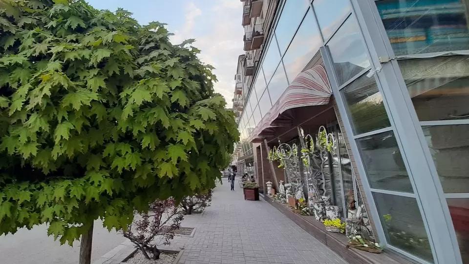 В Волгограде улицу Чуйкова сделают пешеходной зоной на выходные