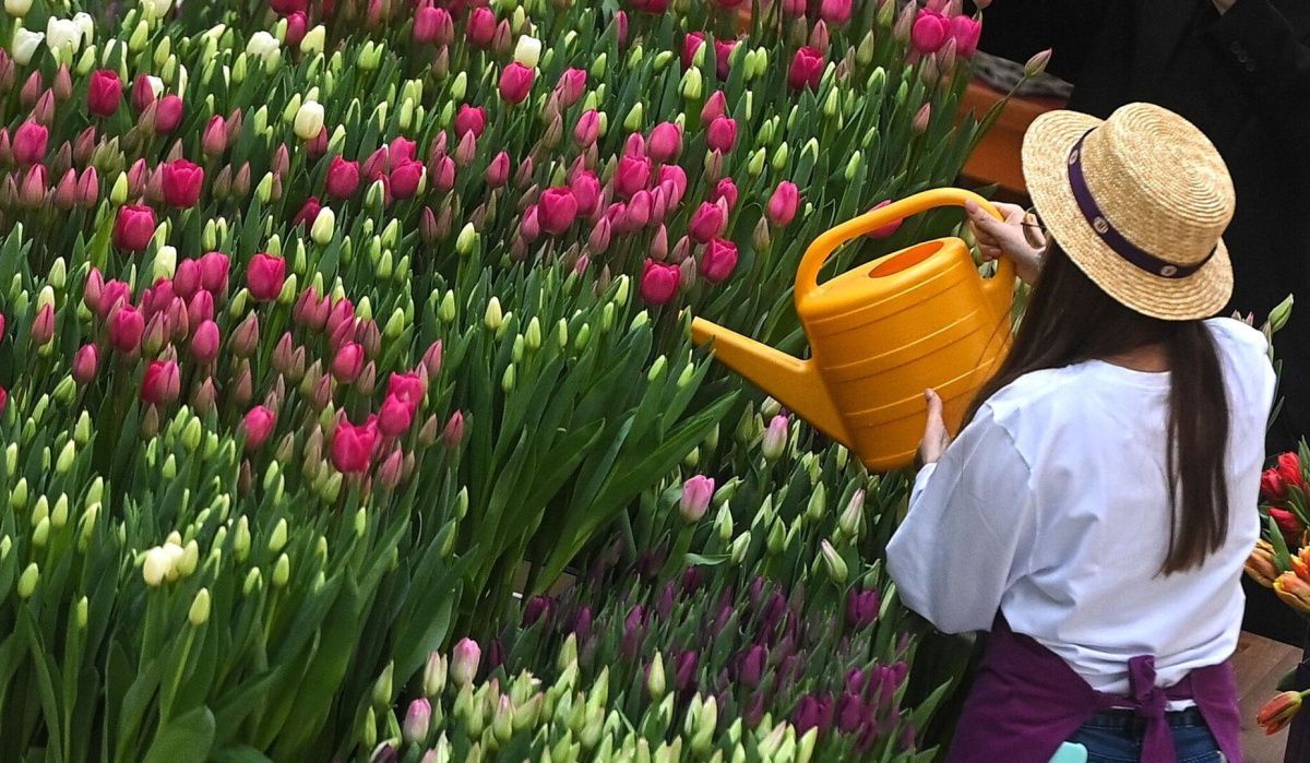 С 1 сентября введены новые требования для бизнеса в садоводствах