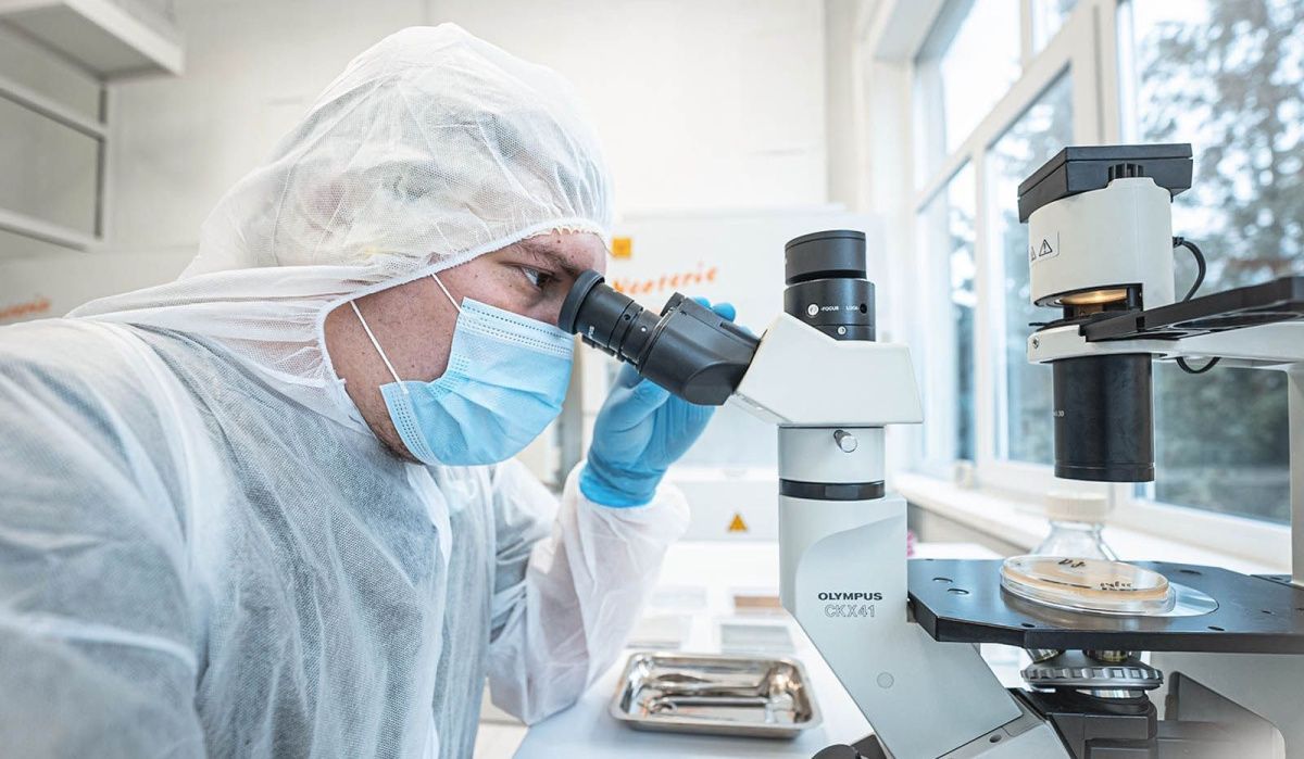 Московский технологический бизнес демонстрирует устойчивый рост