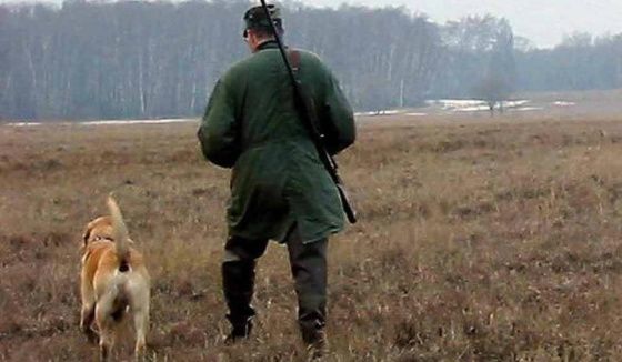 В 2026 году в Волгоградской области изменили сроки охоты на пернатую дичь