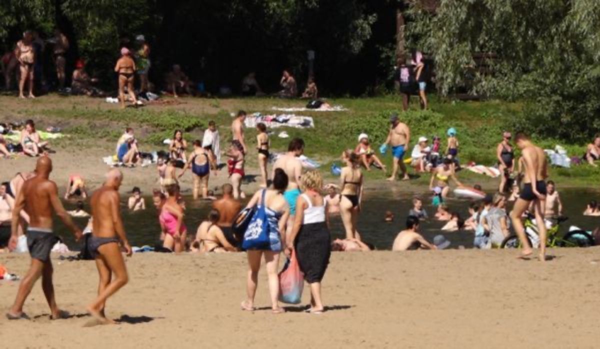 Роспотребнадзор: Пляж у санатория Горького в Воронеже закрыт для купания