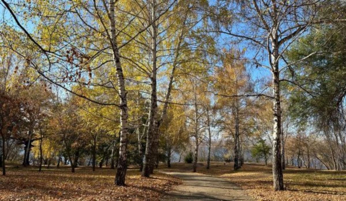 Самарцам пообещали потепление