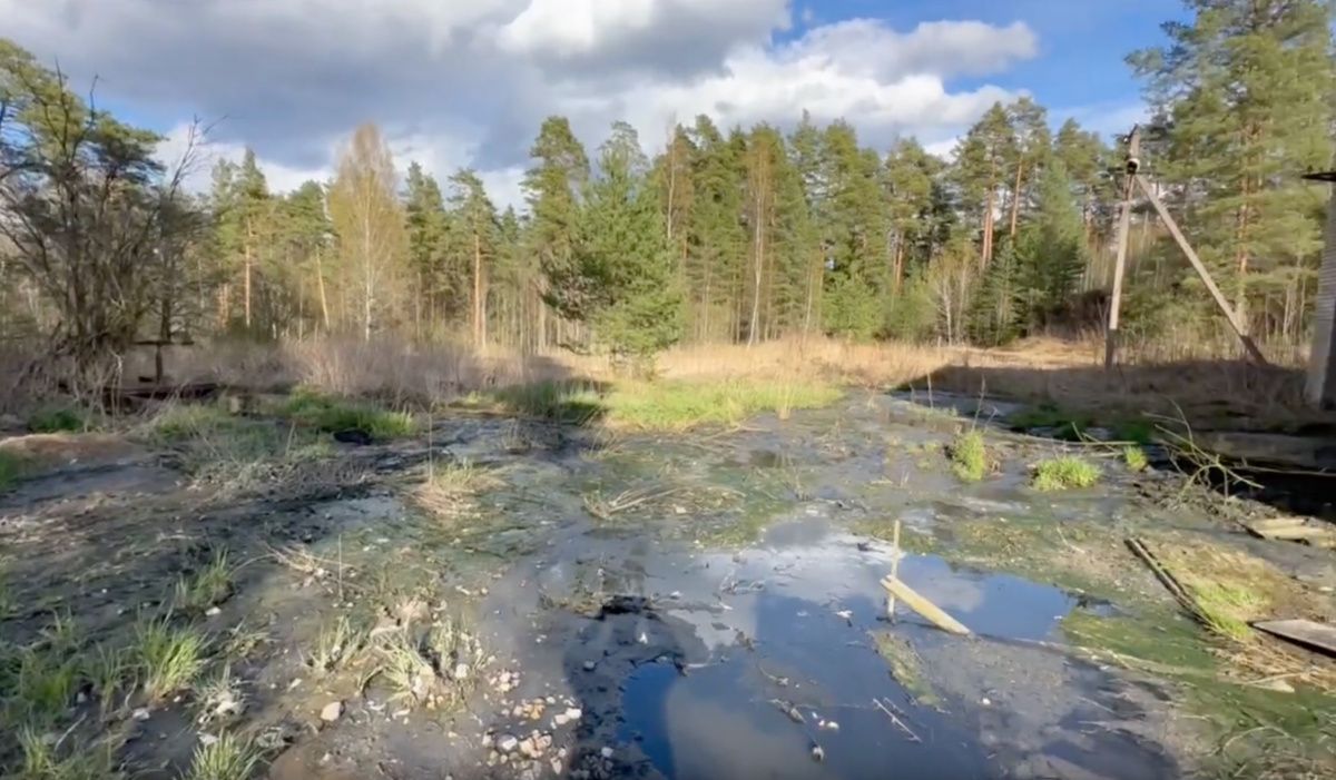 &quot;Леноблводоканал&quot; обязали почистить очистные сооружения в Приозерском районе