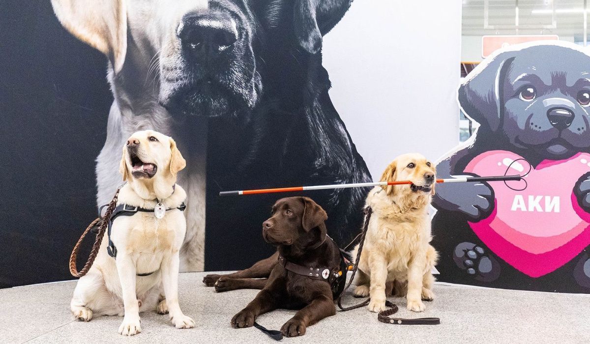В метро Москвы проведут мастер-класс по общению с собаками-проводниками
