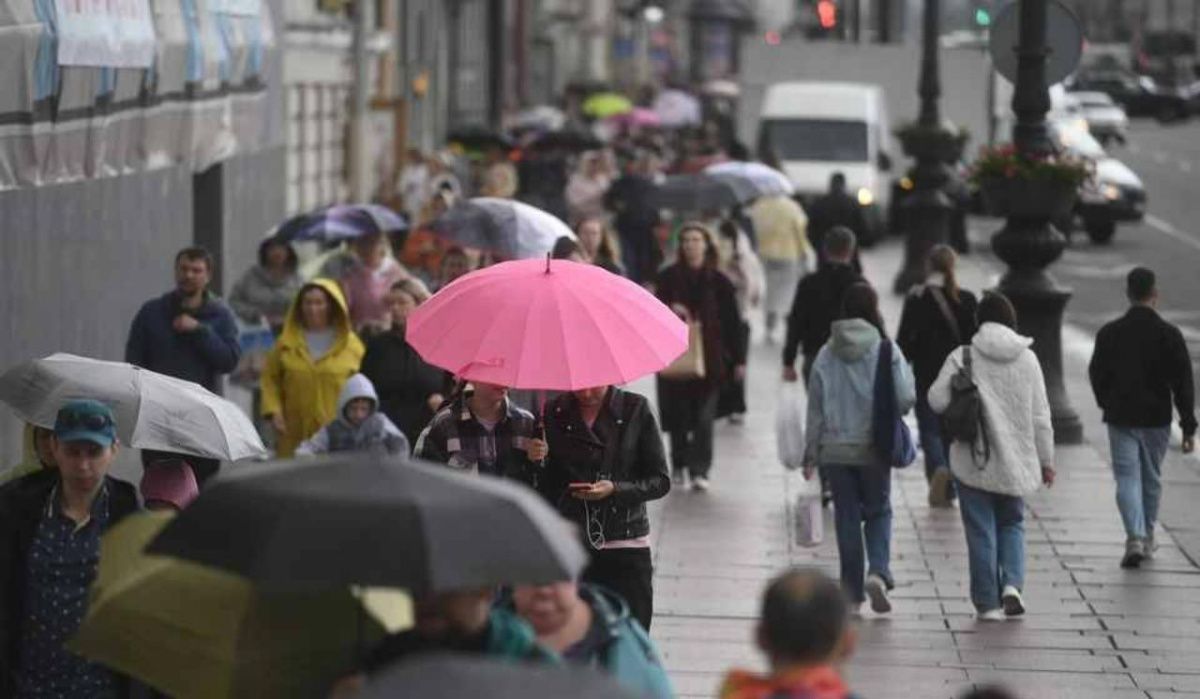 В Петербурге из-за ветреной погоды объявлен «желтый» уровень опасности