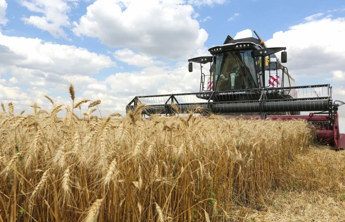 В Ростовской области планируют ввести мораторий на банкротство фермеров