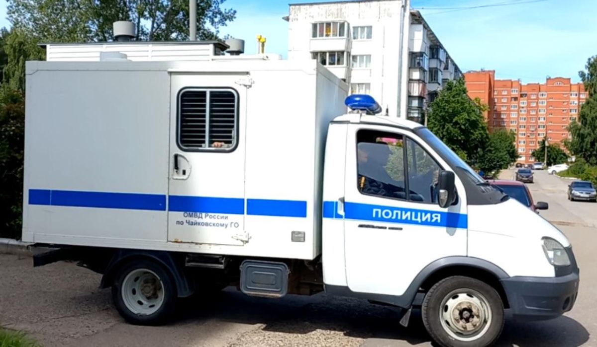 В Чайковском ранее судимый местный житель отправится в колонию 