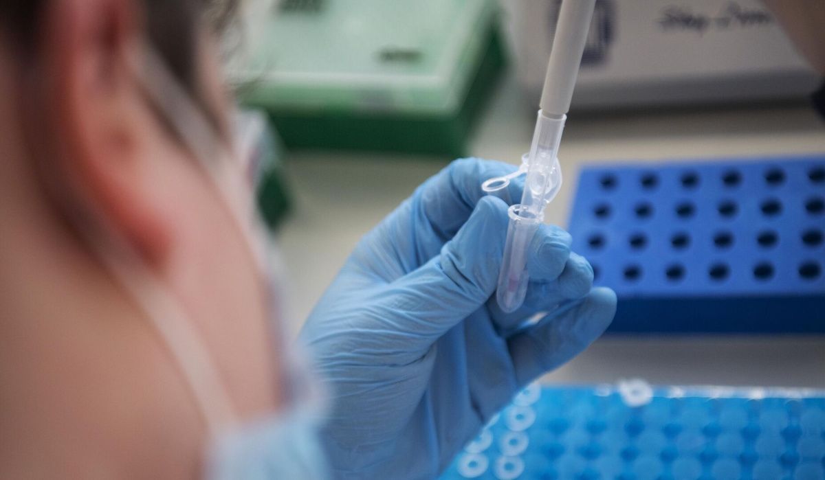 Ученые обнаружили перспективные соединения для терапии рака методом нейтронозахвата