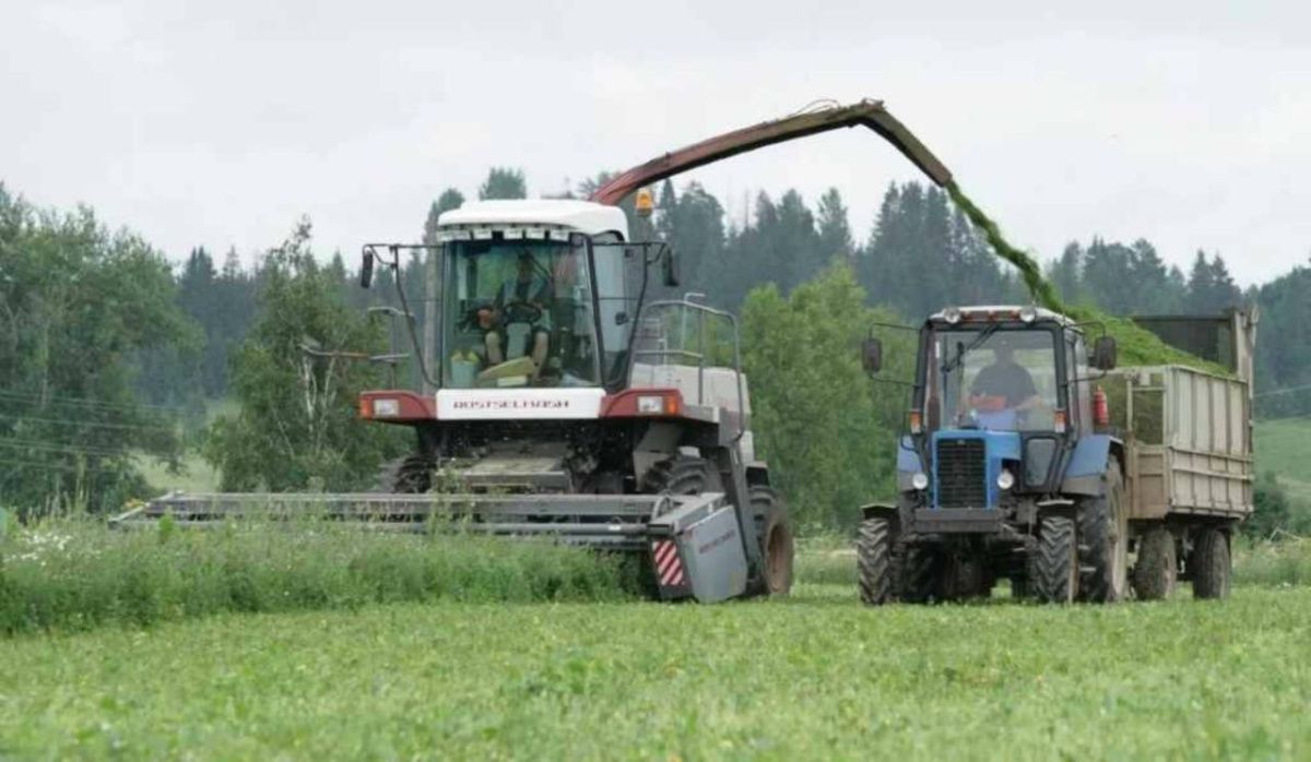 &quot;Птицефабрика Чайковская&quot; успешно завершила уборочную кампанию 2025 года