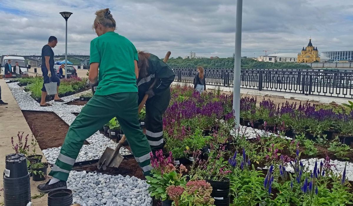 Цветник – как символ дружбы: подарок минчан к 803-летию Нижнего Новгорода