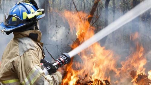 В Волгоградской области провели более 9000 противопожарных рейдов в лесах