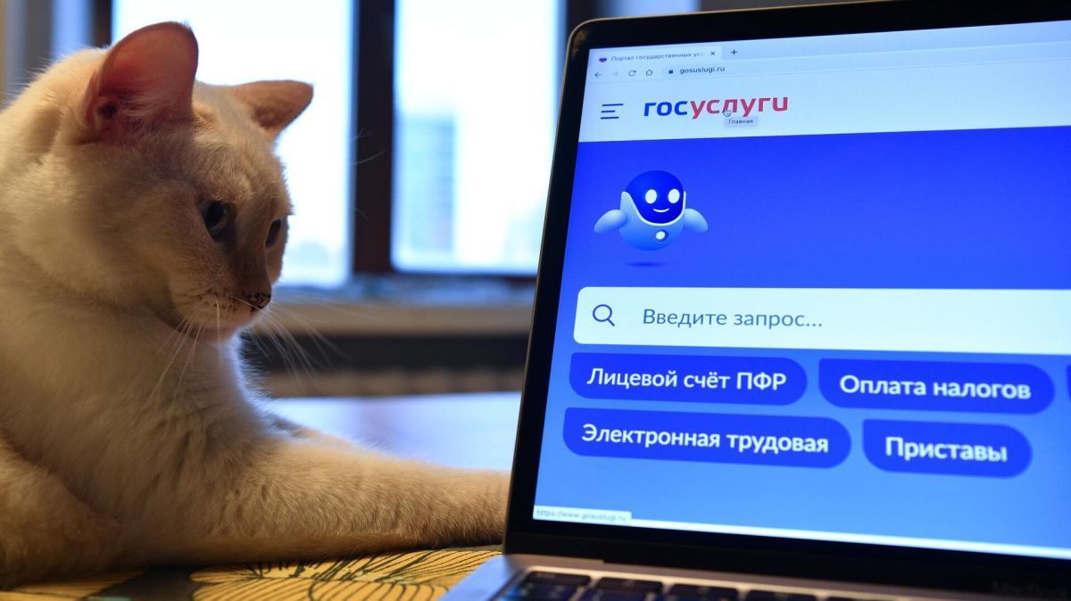 Двухфакторная аутентификация на Госуслугах станет обязательной