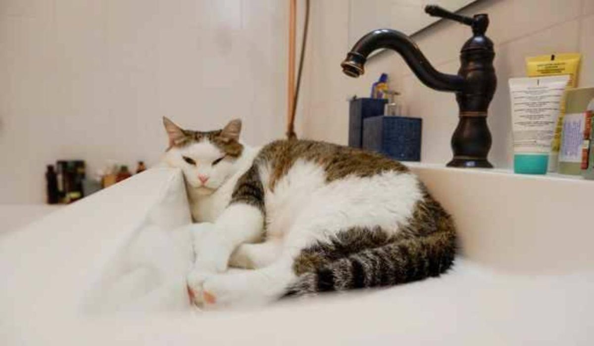 Жители одного из кварталов Челябинска останутся без воды на весь день