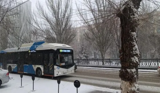 Волгоградцы попросили Бастрыкина ускорить запуск троллейбусов до больницы 